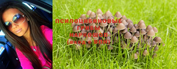 бошки Зерноград