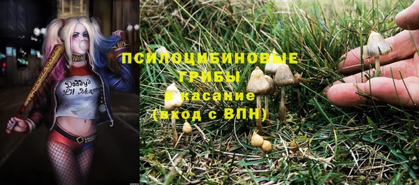 экстази Зеленокумск