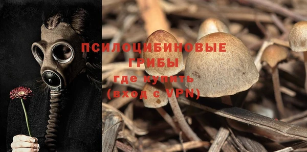 гашик Заволжск